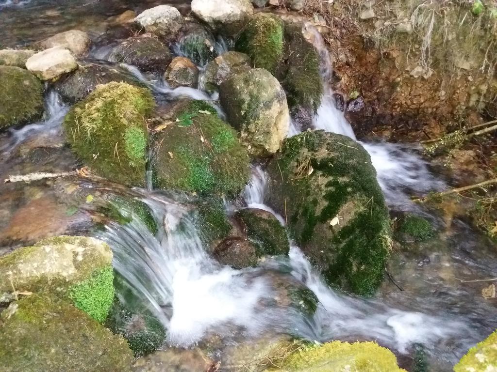 ホテル Casa Rural Moli De Fornols エクステリア 写真