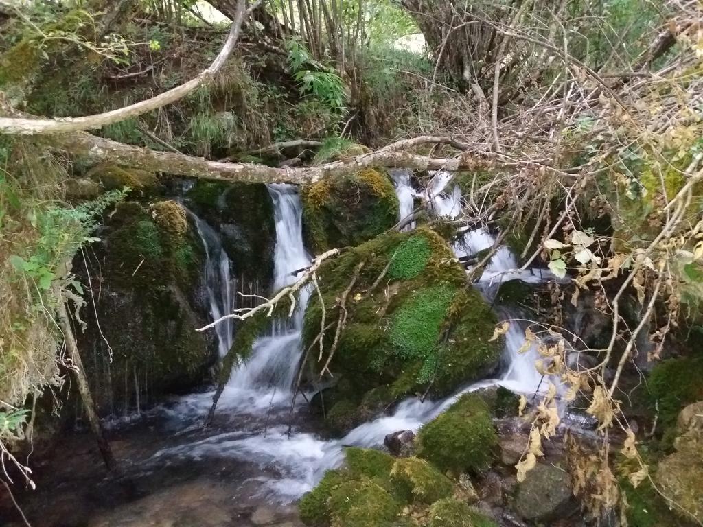 ホテル Casa Rural Moli De Fornols エクステリア 写真