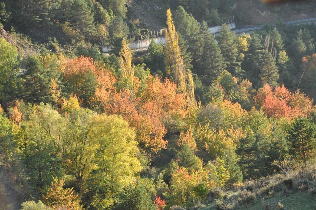 ホテル Casa Rural Moli De Fornols エクステリア 写真