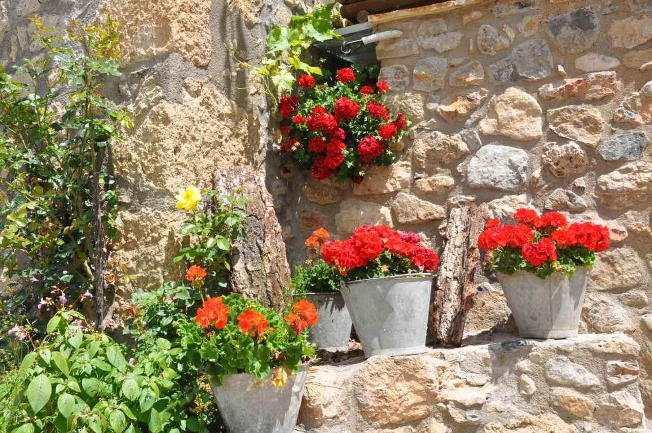 ホテル Casa Rural Moli De Fornols エクステリア 写真